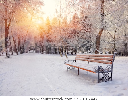 Stock photo: Winter Landscape City Garden