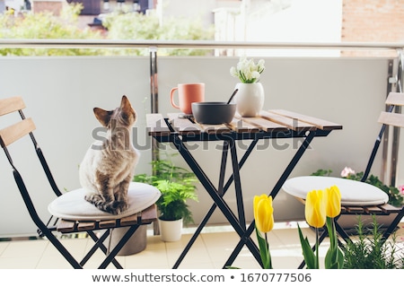 Foto stock: Modern Beautiful Terrace With A Lot Of Flowers