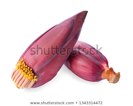 Stockfoto: Flowering Banana