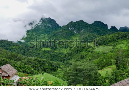 Foto d'archivio: Lush High Mountains Covered By Mist