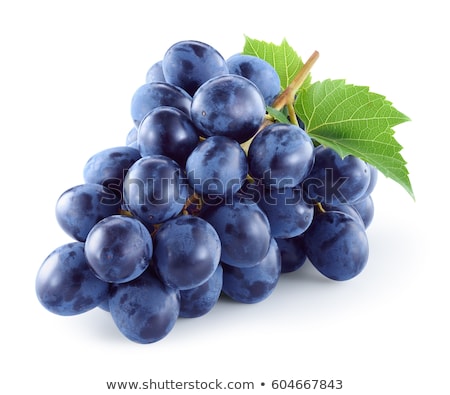 Foto stock: Bunches Of Blue Grapes With Path