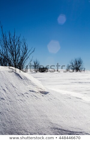 Heavy Snow And Fencerow Foto d'archivio © enterlinedesign