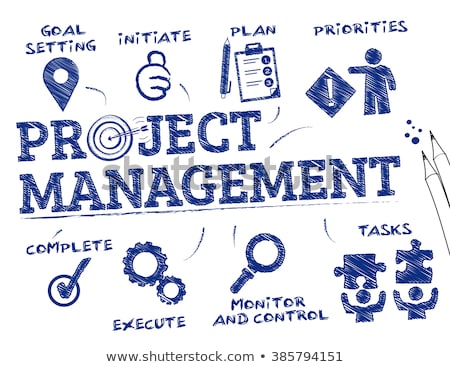 Zdjęcia stock: Vector Project Management Process Diagram Concept