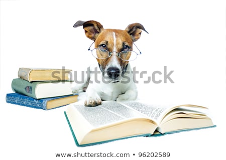 Stok fotoğraf: Intelligent Smart Dog With Books