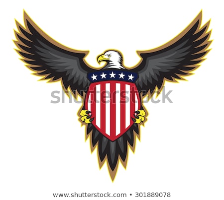 Foto d'archivio: Patriotic American Eagle Vector Illustration Wings Spread Holding Shield