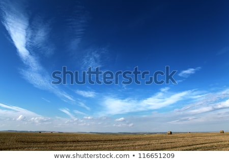 Stock photo: Dark Clouds And Blue Sky Over Fields