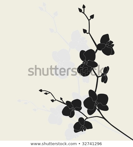 Stok fotoğraf: Stylized Black Orchid Branch Vector Illustration