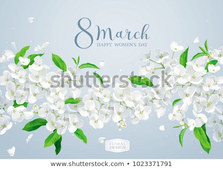 ストックフォト: Bloosom Hydrangea - Soft Pink Flower On A White Background Floral Background