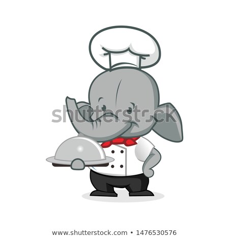 Stock fotó: Cartoon Chef Elephant