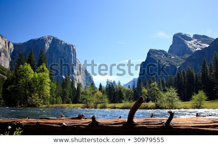 ストックフォト: Log Framing Yosemite Valley