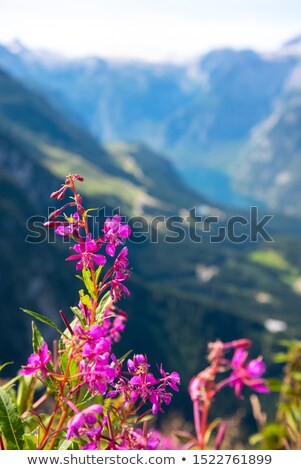 Stockfoto: Alpine Lake 02