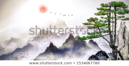 Stock photo: Zen Landscape