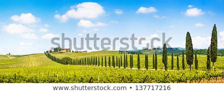 Foto stock: Tuscany Panoramic View