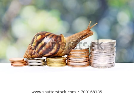 Stock fotó: Slow Money Concept Silver Coin And Snail