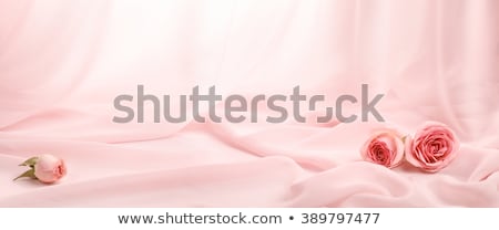 Stock photo: Pink Silk
