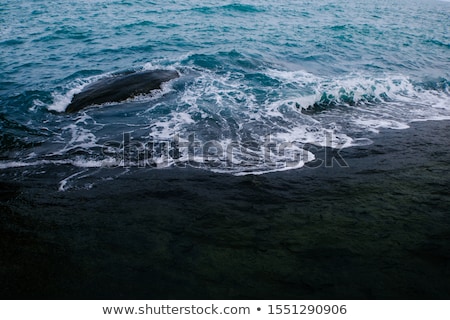 Foto d'archivio: Water Liquid Splash Wave On Blue Background