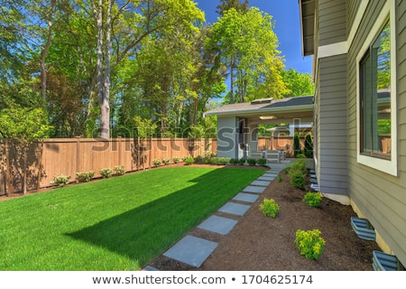 Stock foto: Birch Wood Fence