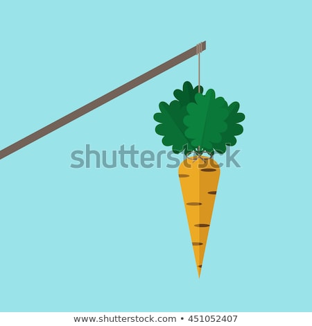 Zdjęcia stock: Dangling Carrot