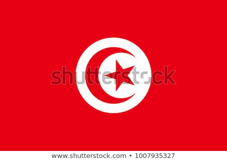 Stockfoto: Tunisia Flag Vector Illustration