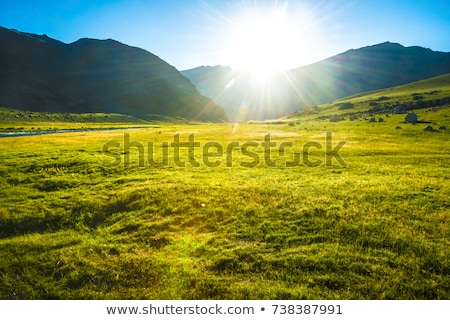 Сток-фото: Evening Light Over A Hill In Autumn