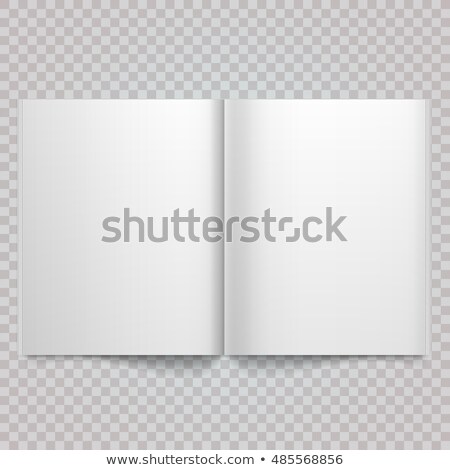 Stockfoto: Blank Magazine Double Page Spread Vector Illustration