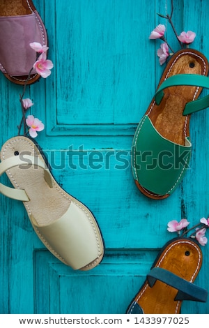 [[stock_photo]]: Red Sandals Avarcas