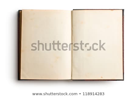 Stok fotoğraf: Old Book With Blank Pages