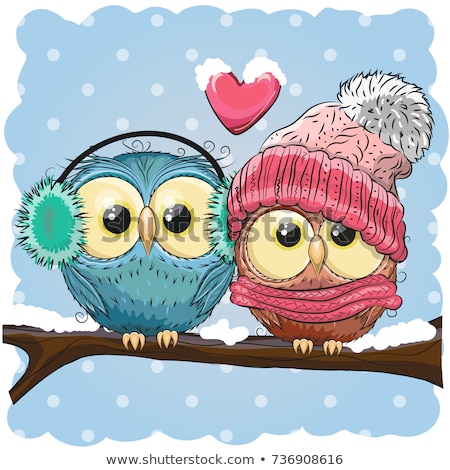 Stok fotoğraf: Couple Of Owls At Christmas