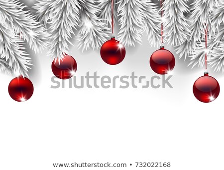 Foto stock: Frozen Fir Branch