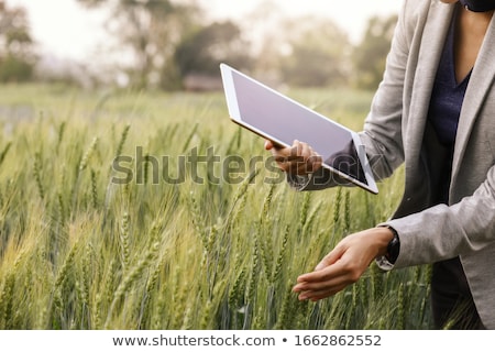 Stock fotó: Female Farmer Using Digital Tablet Computer In Green Wheat Field