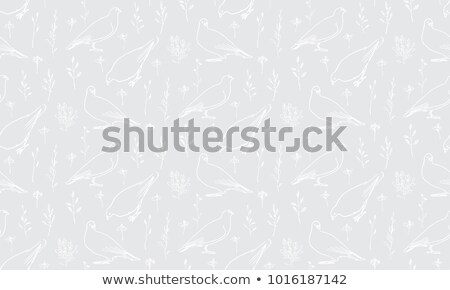 [[stock_photo]]: Dove Pattern Pigeon Seamless Background Vector Illustration