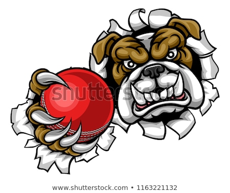 ストックフォト: Bulldog Dog Holding Cricket Ball Sports Mascot