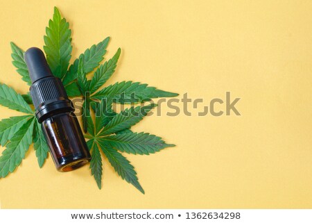 ストックフォト: Cannabis Leaves With Green Extract