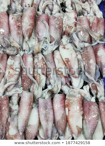 Foto d'archivio: Close Up Of Fresh Squids At Japanese Street Market