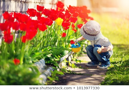 Stok fotoğraf: Spring Garden Concept