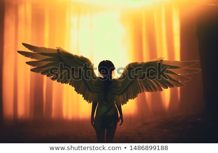 Stockfoto: Woman Angel