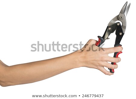 Stock foto: Female Hand Holding Tin Snips