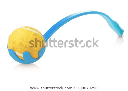 Stock photo: Blue Chuck Dog Toy For Throwing Ball