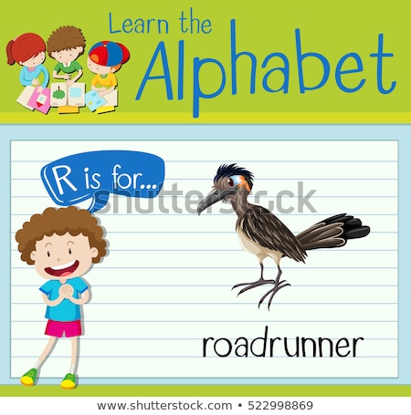 Stock photo: Flashcard Letter R Is For Roadrunner