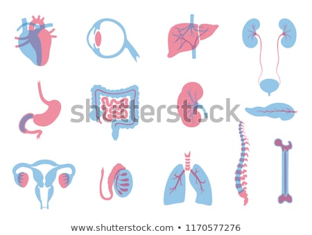 [[stock_photo]]: Donate Concept Diagram Illustration