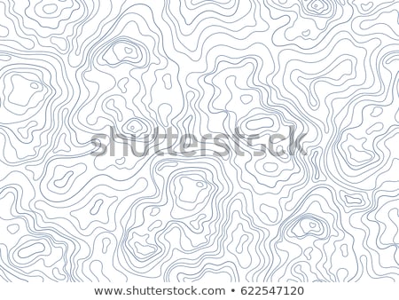Foto stock: Seamless Topographic Map Pattern Vector Seamless Background
