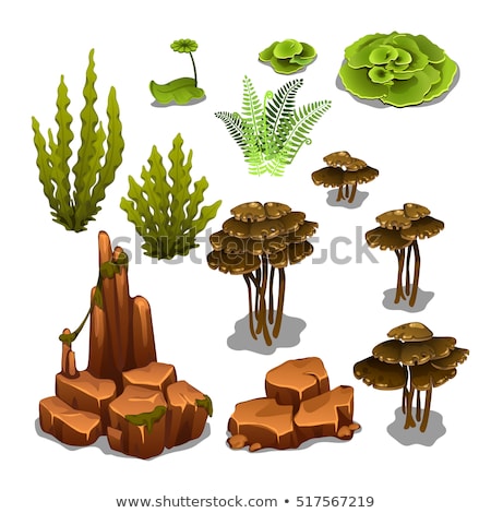 Stok fotoğraf: Seascape Rocks And Plants Vector Illustration
