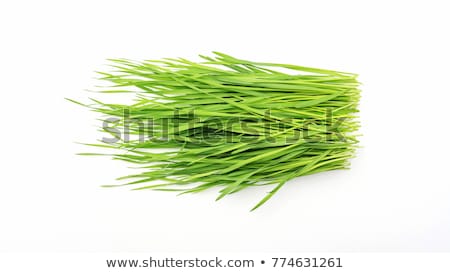 Сток-фото: Wheatgrass