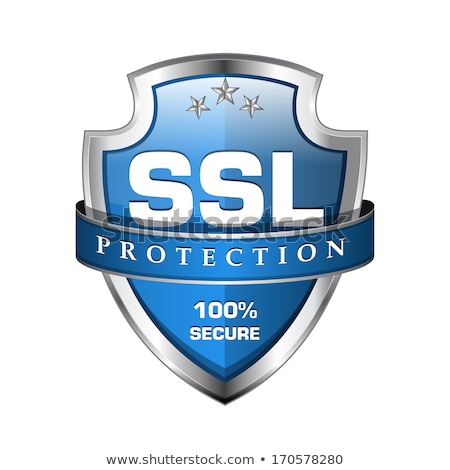 Stock fotó: Ssl Protected Blue Vector Icon Design