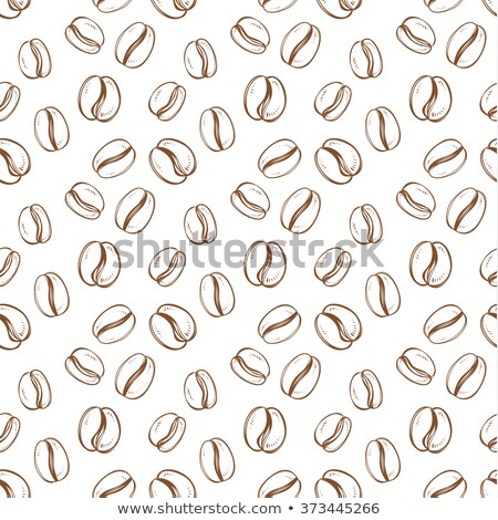 Stockfoto: Scattered Coffee Beans In Line On White