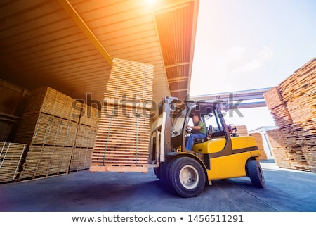 Zdjęcia stock: Dryed Wood