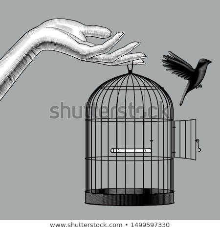 Stock foto: Girl With Cage For Birds