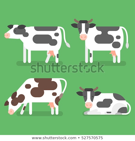 Foto stock: Vector Flat Style Set Of Cow Isolated On Green Background