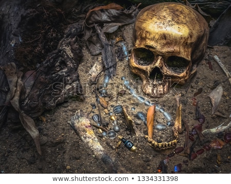 Foto d'archivio: Archaeological Excavation With Skull Still Half Buried In The Ground