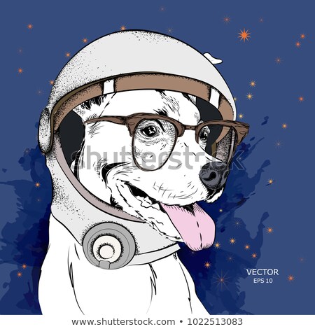 Stockfoto: Cartoon Character Hipster Animals In Suit Vector